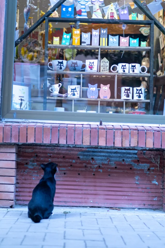 Window of Relatives